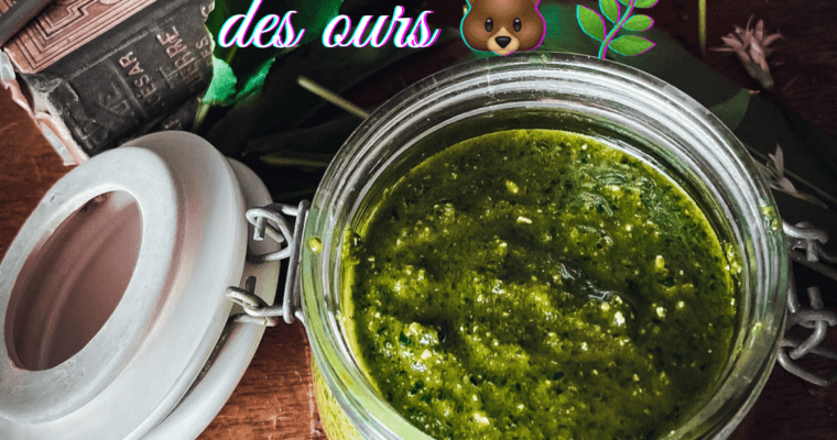 🌿🐻 Recette Pesto d’ail des ours 🌿🐻