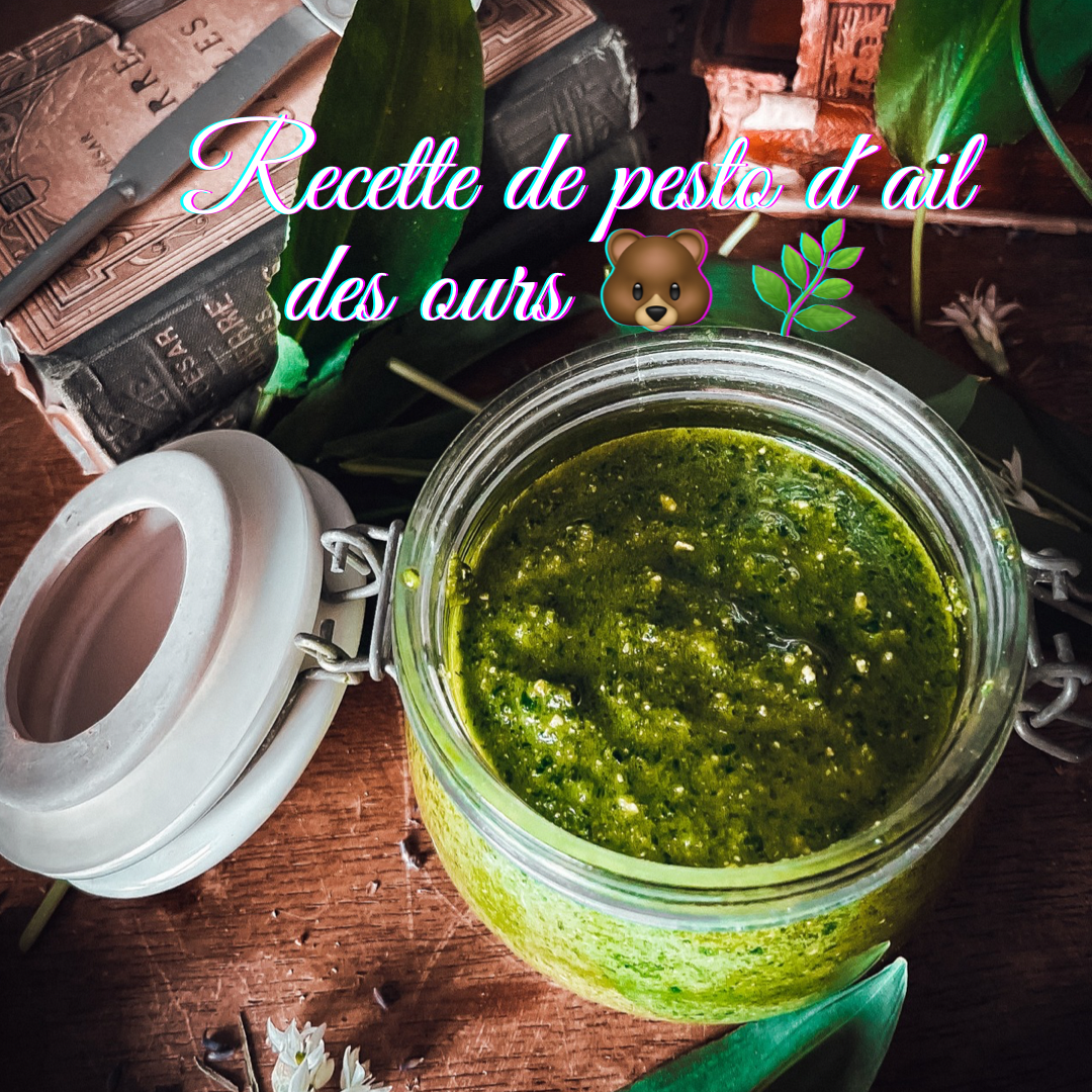 🌿🐻 Recette Pesto d’ail des ours 🌿🐻